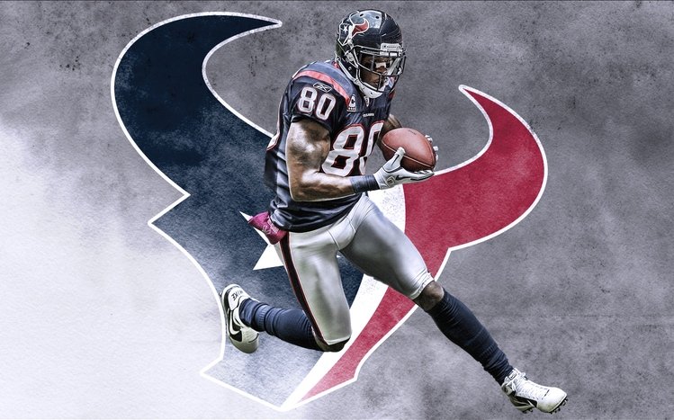 Texans Theme screenshot #11