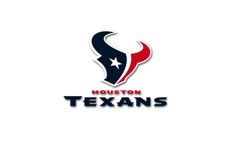 Texans Theme screenshot #7