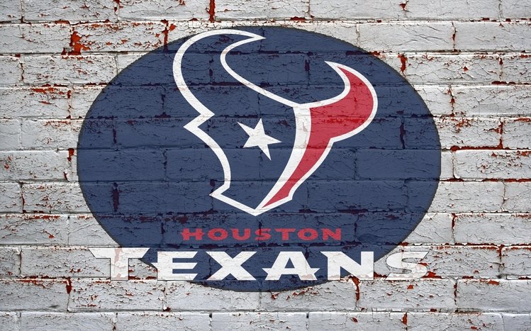 Texans Theme screenshot #17