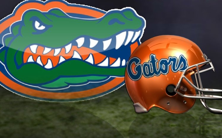 Florida Gators Theme screenshot #4