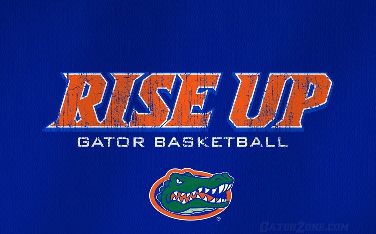 Florida Gators Theme screenshot #2