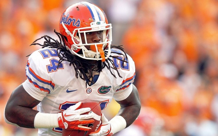 Florida Gators Theme screenshot #5