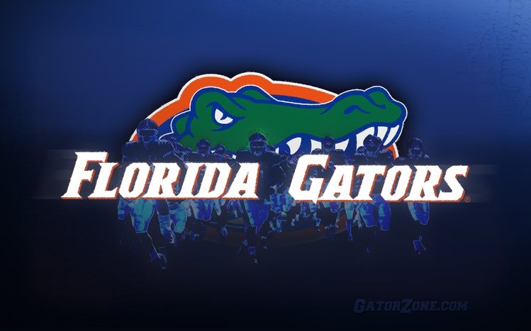 Florida Gators Theme screenshot #8