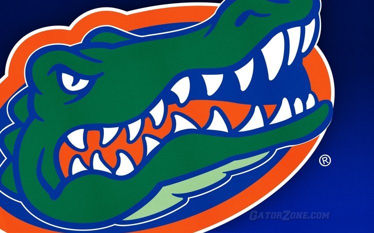 Florida Gators Theme screenshot #9