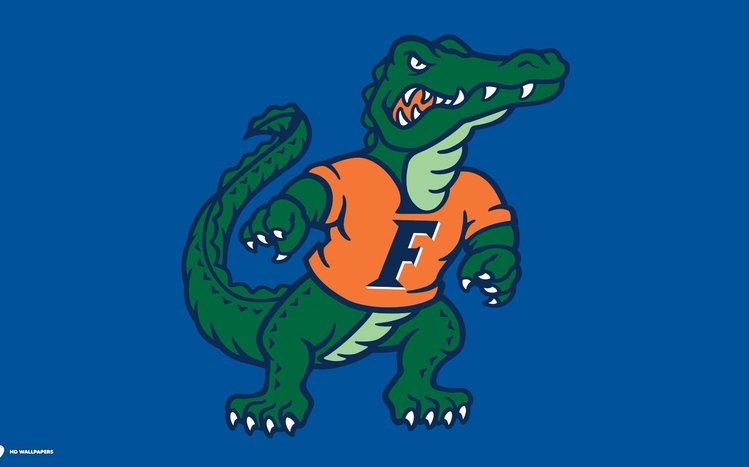 Florida Gators Theme screenshot #6