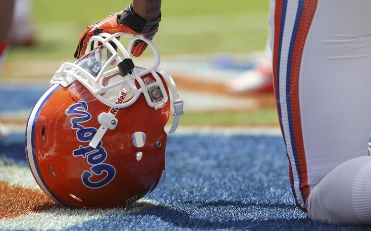 Florida Gators Theme screenshot #1