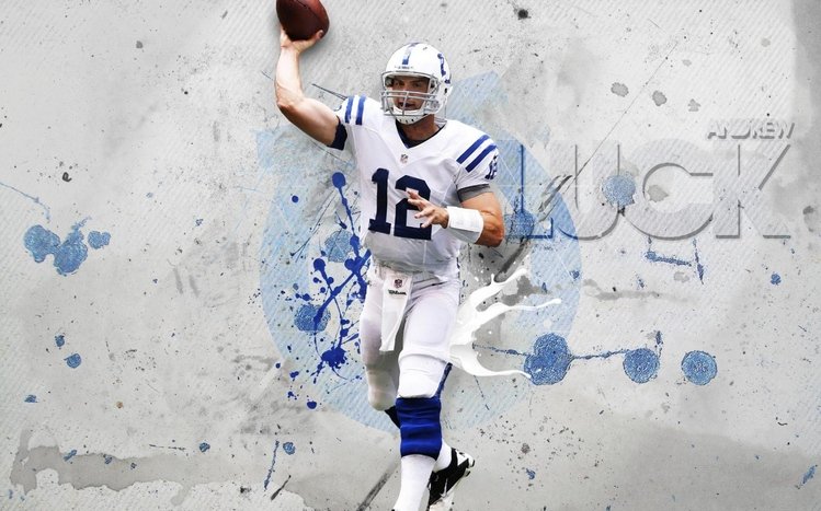Indianapolis Colts Theme screenshot #1