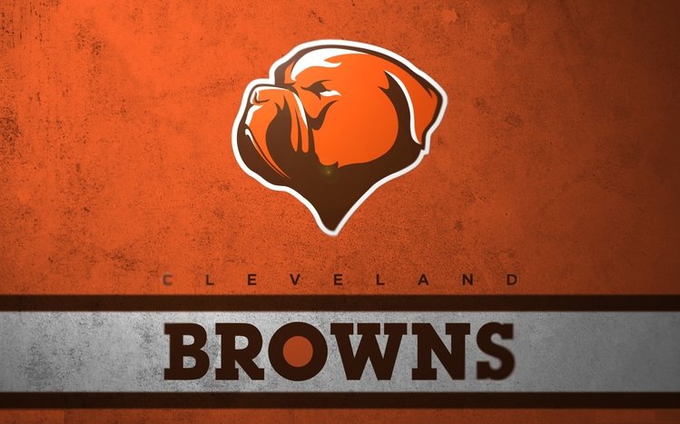 Cleveland Browns Theme screenshot #5