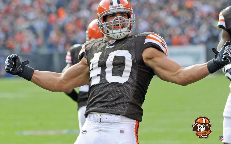 Cleveland Browns Theme screenshot #4