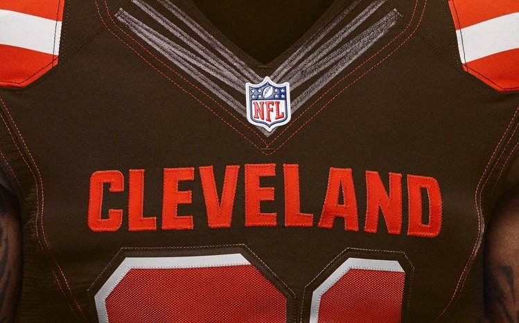 Cleveland Browns Theme screenshot #9