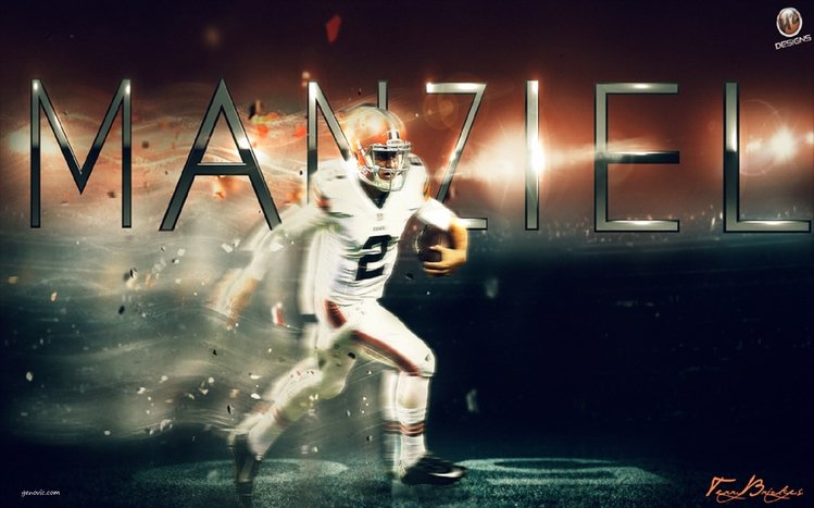 Cleveland Browns Theme screenshot #11