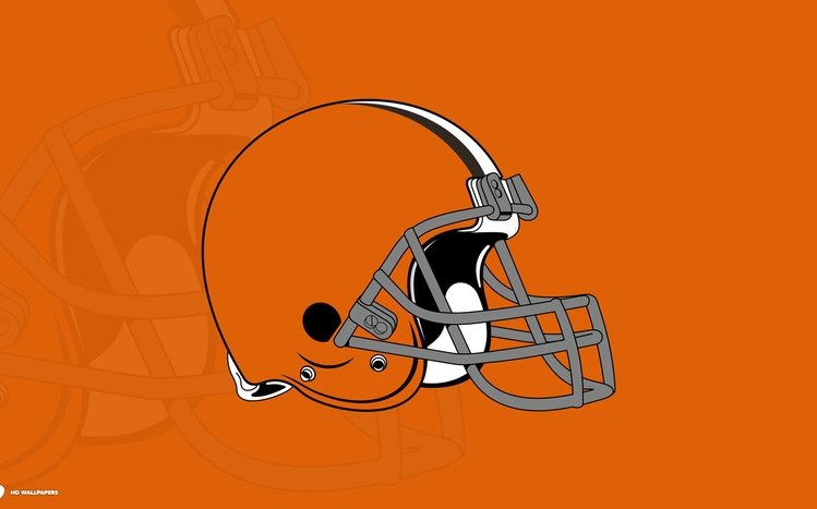 Cleveland Browns Theme screenshot #2