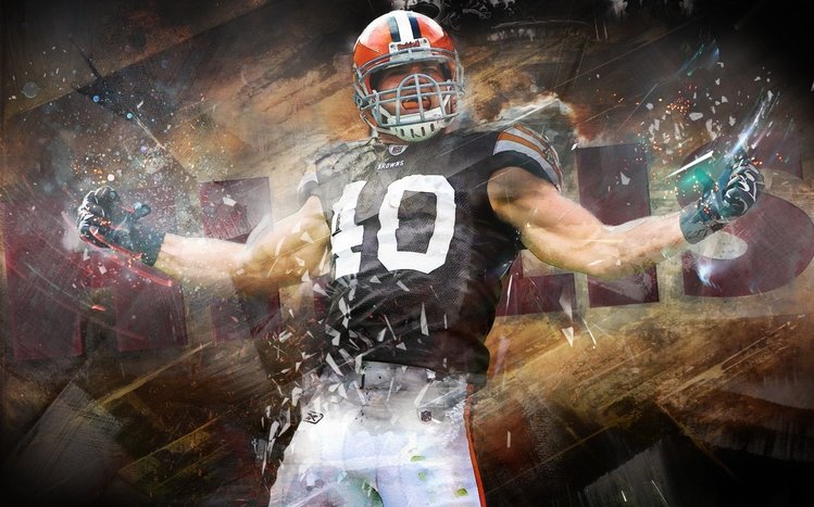 Cleveland Browns Theme screenshot #14
