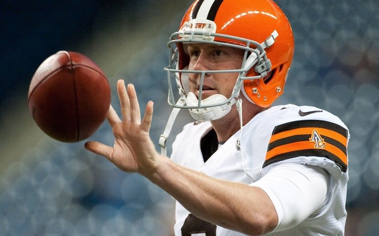 Cleveland Browns Theme screenshot #1