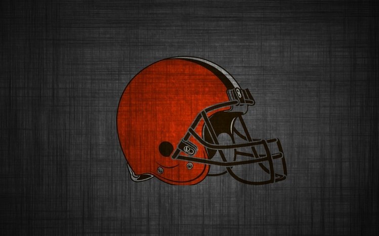Cleveland Browns Theme screenshot #8