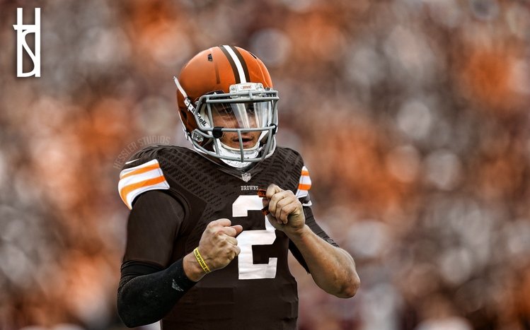 Cleveland Browns Theme screenshot #13