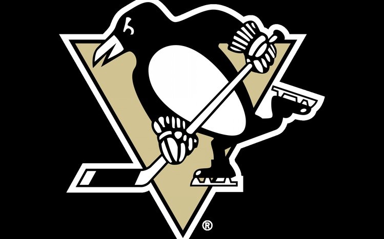 Pittsburgh Penguins Theme screenshot #5