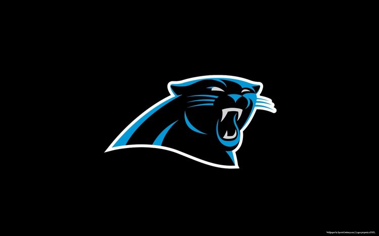 Carolina Panthers Theme screenshot #11