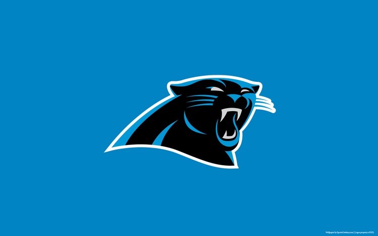 Carolina Panthers Theme screenshot #10