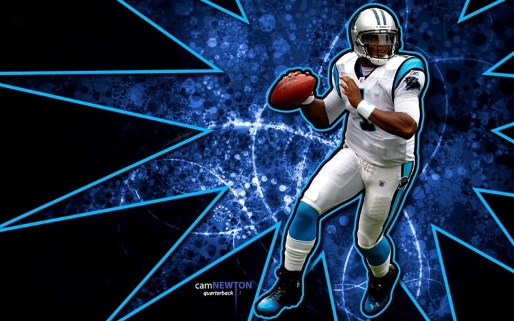 Carolina Panthers Theme screenshot #7