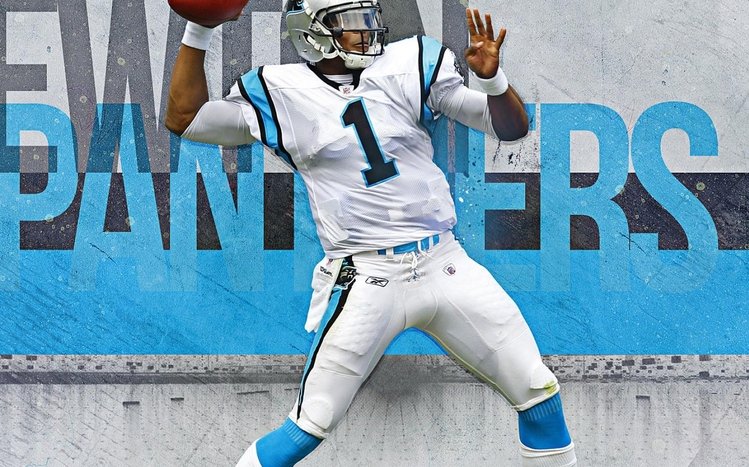 Carolina Panthers Theme screenshot #6