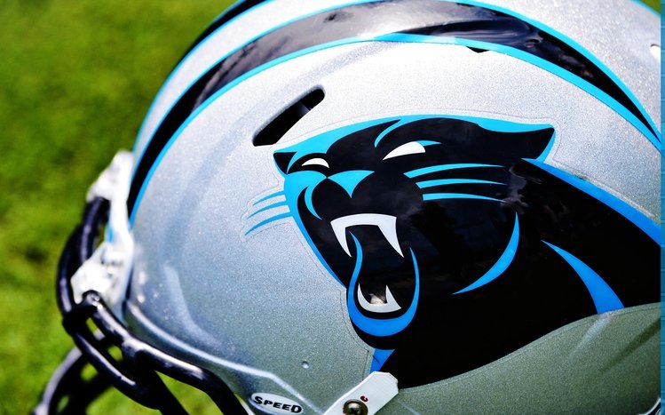 Carolina Panthers Theme screenshot #12