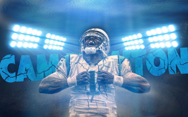 Carolina Panthers Theme screenshot #5
