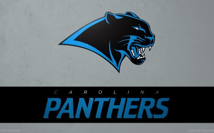 Carolina Panthers Theme screenshot #14