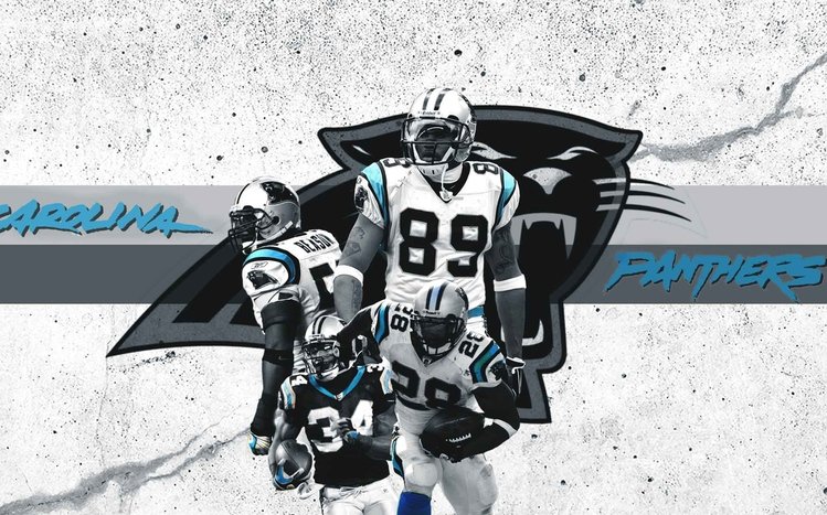 Carolina Panthers Theme screenshot #4