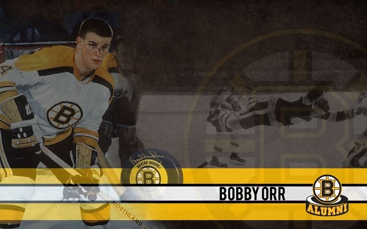 Boston Bruins Theme screenshot #1