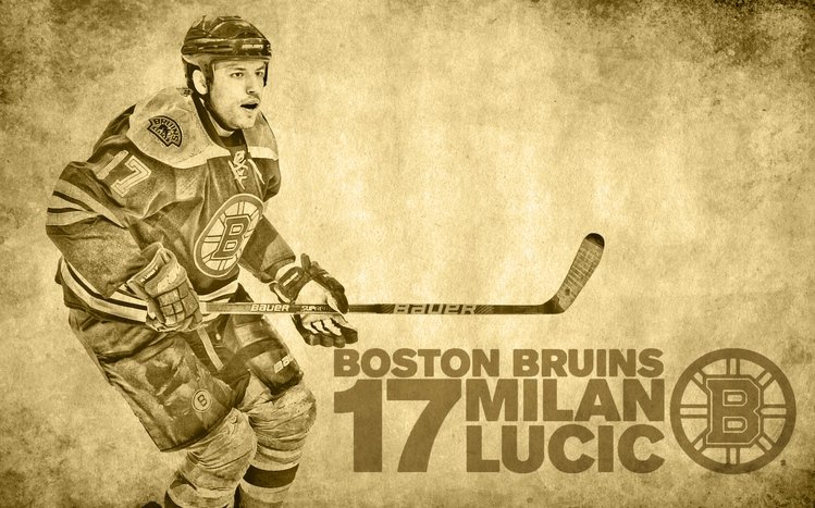 Boston Bruins Theme screenshot #11