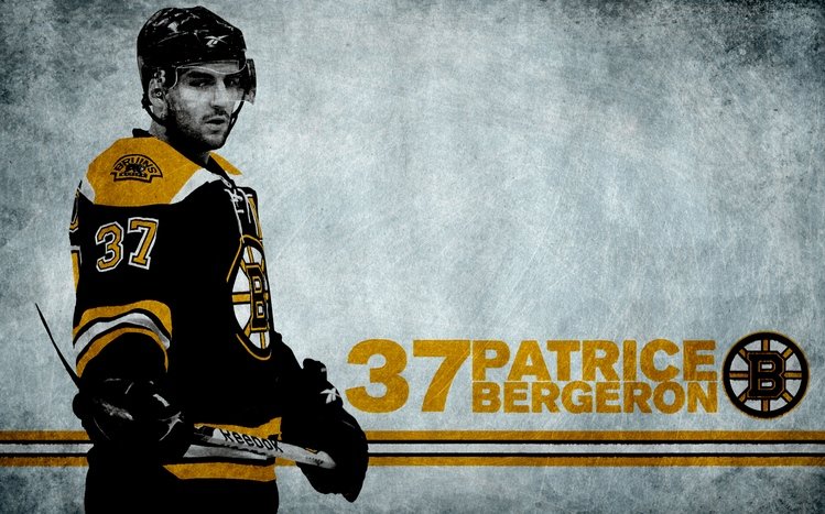 Boston Bruins Theme screenshot #16
