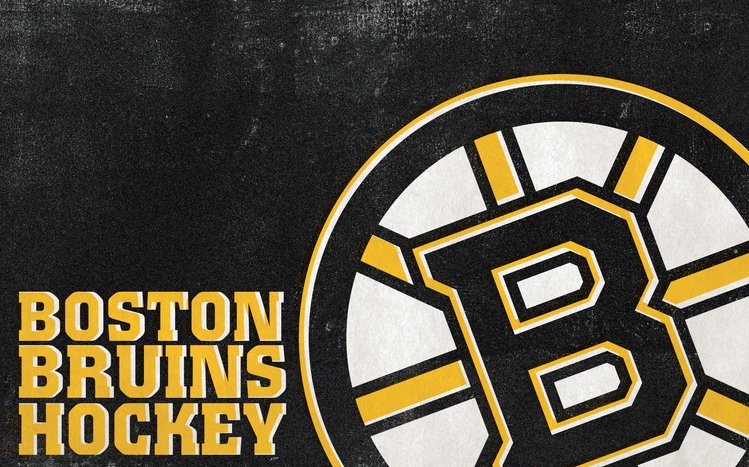 Boston Bruins Theme screenshot #13
