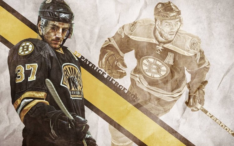 Boston Bruins Theme screenshot #15