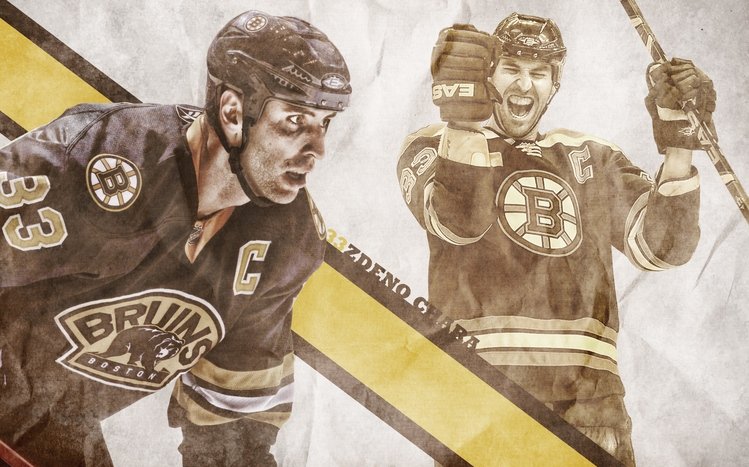 Boston Bruins Theme screenshot #18