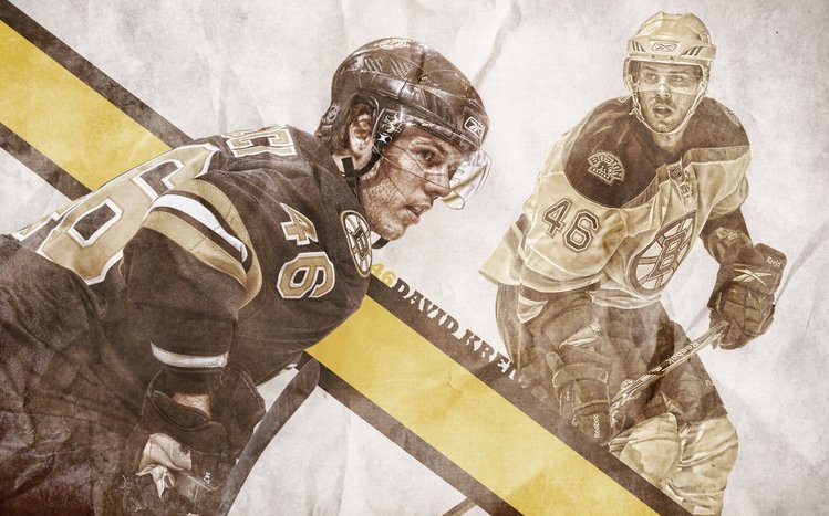 Boston Bruins Theme screenshot #14