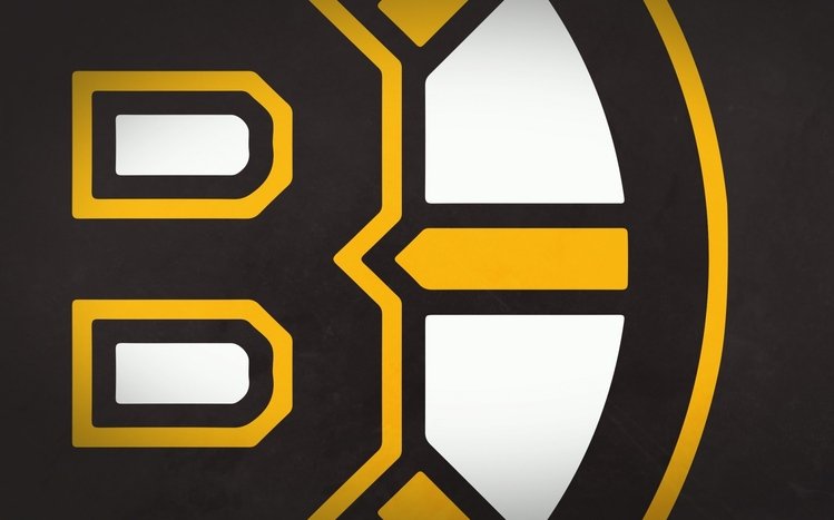 Boston Bruins Theme screenshot #5