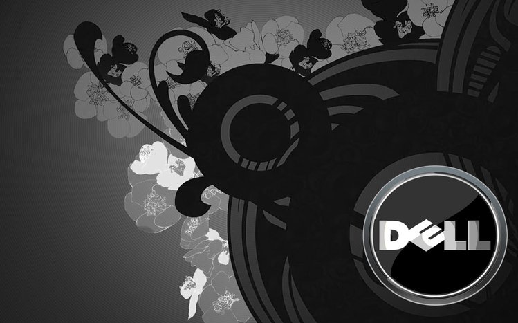 Dell Theme screenshot #11