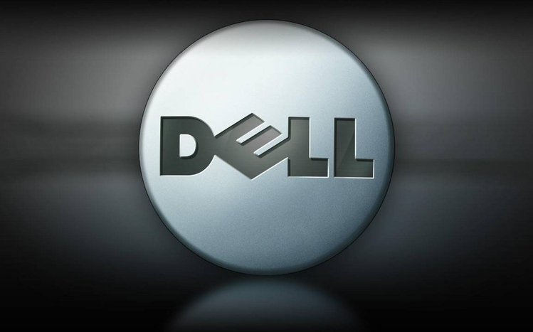 Dell Theme screenshot #2