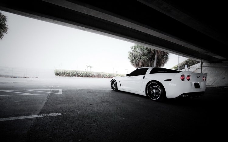 Corvette Theme screenshot #11